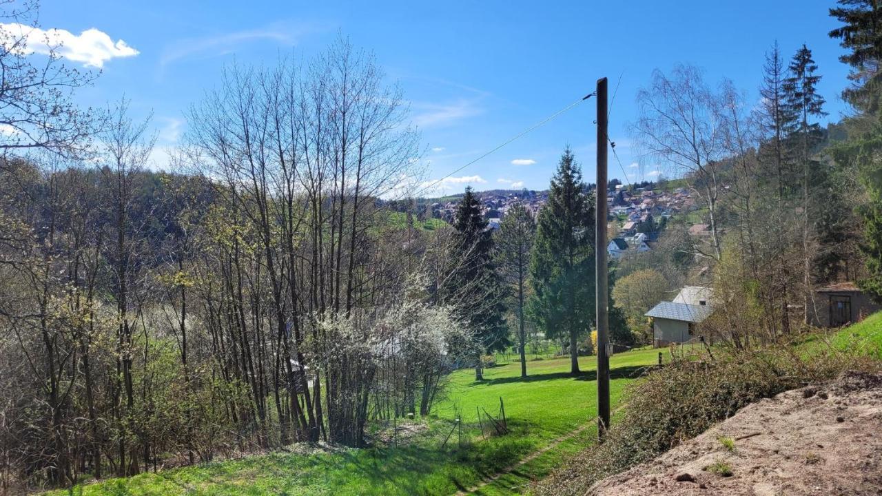 Waldpension Am Koepfchen Kurort Steinbach-Hallenberg Kültér fotó
